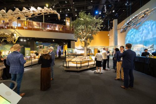 20251120_Best-of-NAIOP-NTX-Awards_060