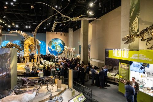 20251120_Best-of-NAIOP-NTX-Awards_096