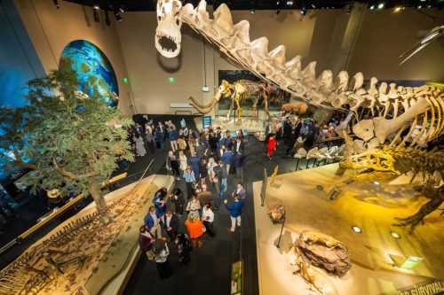 20251120_Best-of-NAIOP-NTX-Awards_104