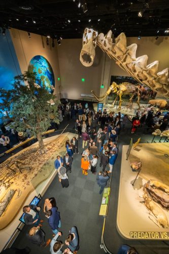 20251120_Best-of-NAIOP-NTX-Awards_105